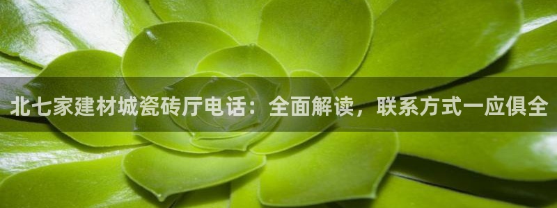 杏鑫有亏损返点吗