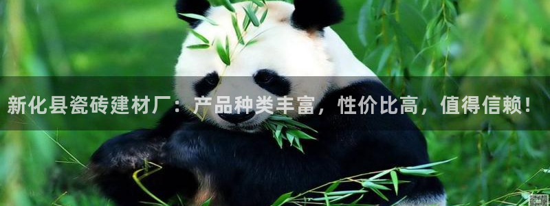 杏鑫娱乐平台