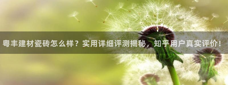 杏鑫官方平台怎么样啊安全吗