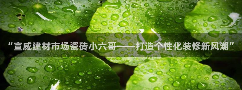 杏鑫娱乐官方网站客户端