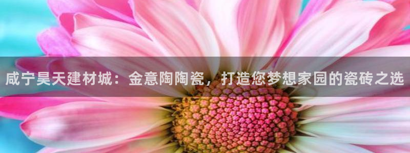 杏鑫平台代理怎么做
