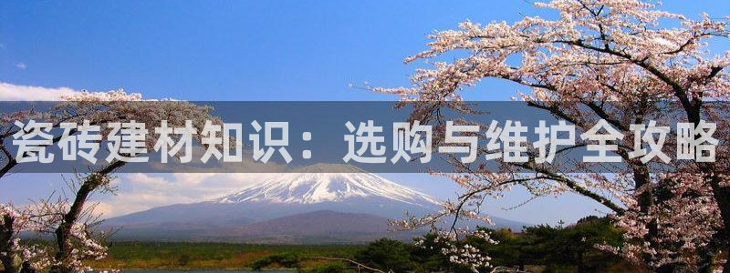 杏鑫平台代理怎么做