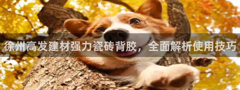 杏鑫平台代理怎么样