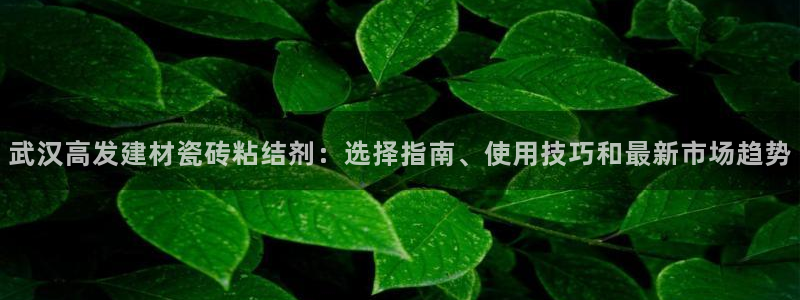 杏鑫平台代理注册多少钱啊