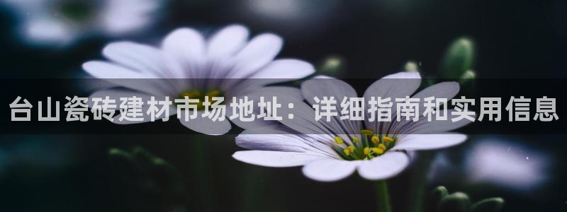 杏鑫注册平台官方网站