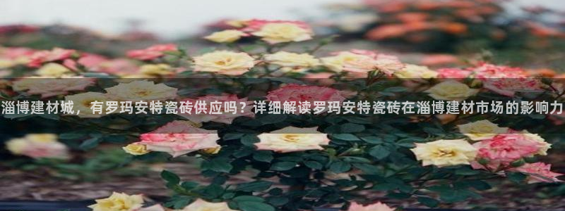 杏鑫平台直属