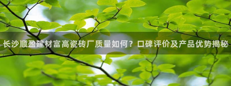 杏鑫代理注册资金多少