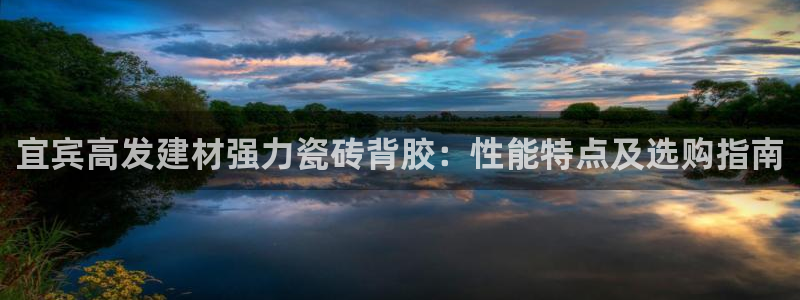 杏鑫主管