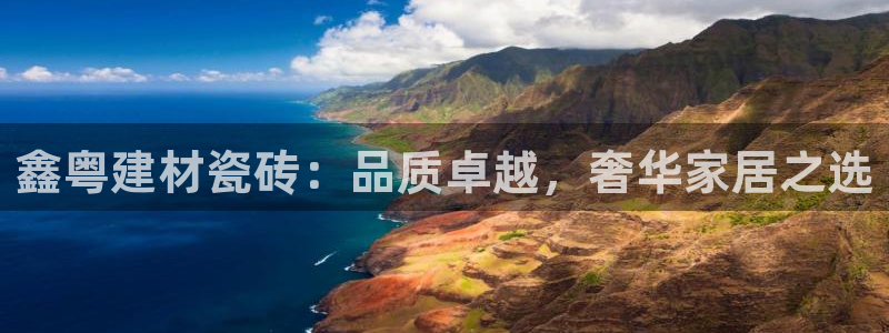 杏鑫平台注册地址在哪里
