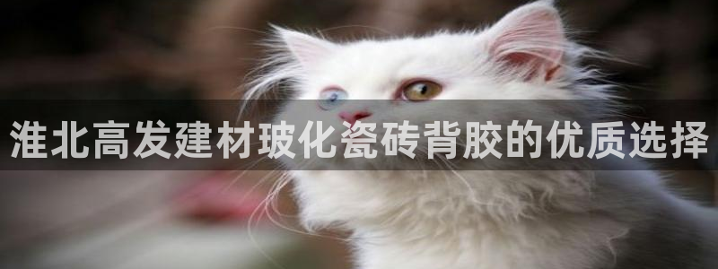 杏鑫代理注册资金多少