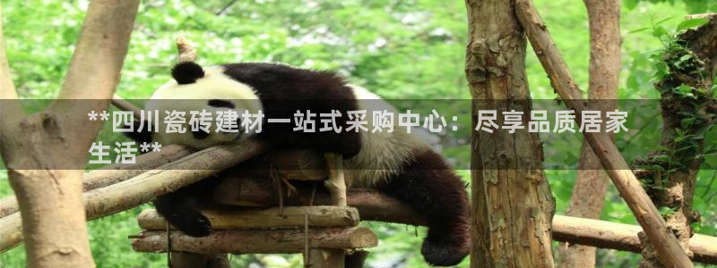 杏鑫平台念7O777