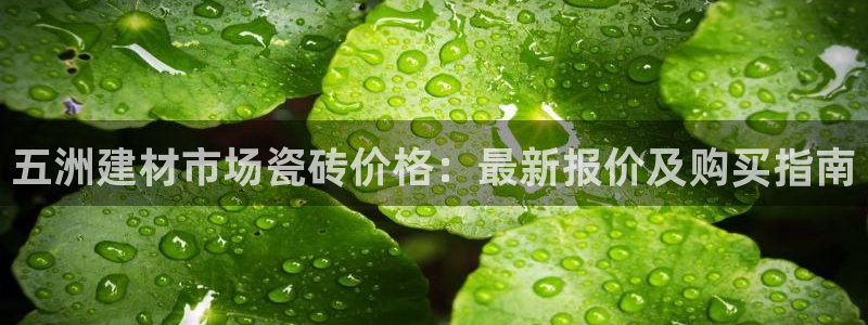 杏鑫娱乐官网下载