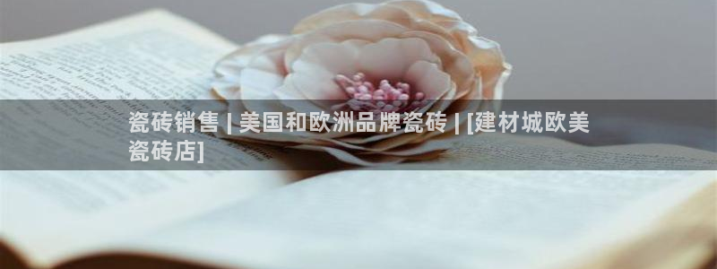 杏鑫娱乐官网登录不了
