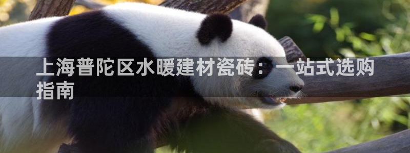 杏鑫平台代理怎么做的