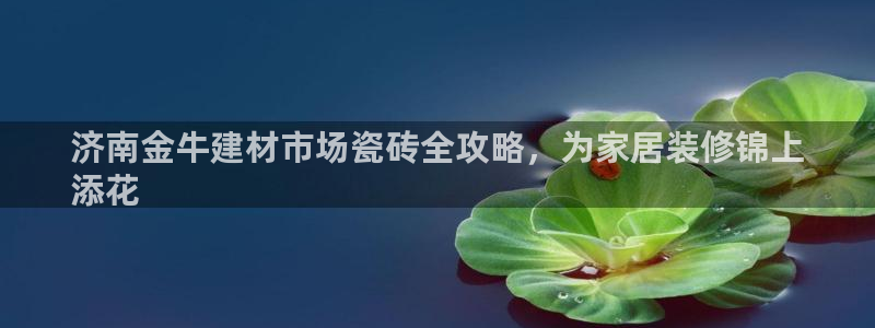 杏鑫平台代理注册流程视频