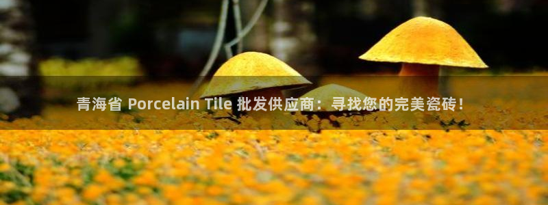 杏鑫平台代理怎么样可靠吗
