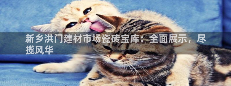 杏鑫娱乐平台测速