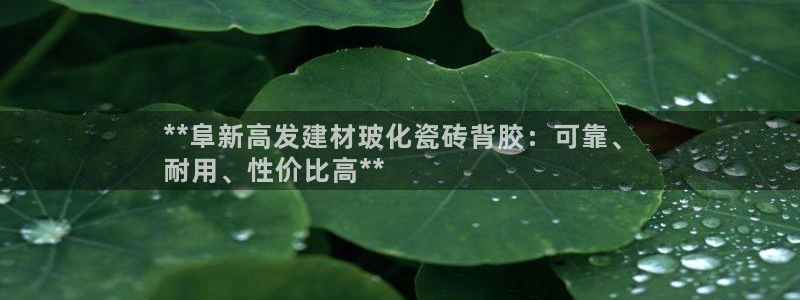 杏鑫平台注册入口在哪