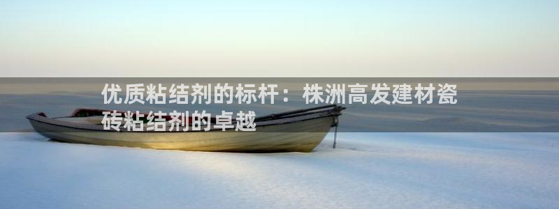 杏鑫娱乐开发团队