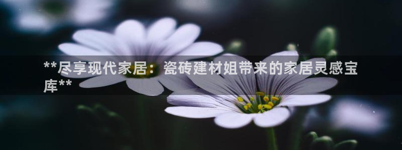 杏鑫平台代理注册流程图