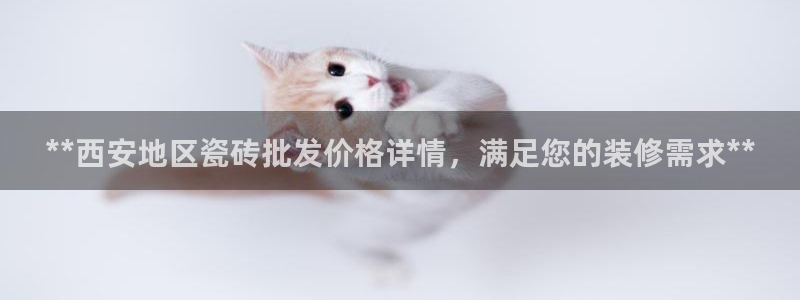 杏鑫官方app代理