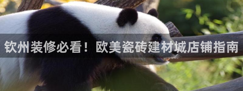 杏鑫平台怎么样黑钱吗安全吗