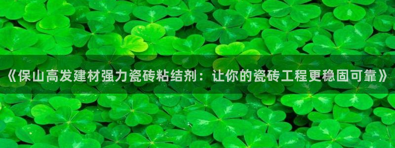 杏鑫主管