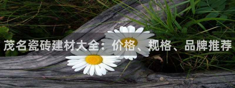 杏鑫平台代理怎么做的