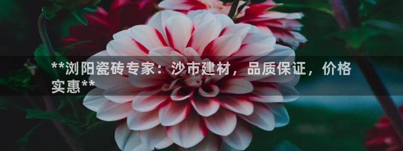 杏鑫平台待遇
