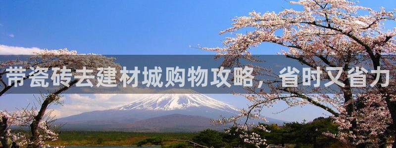 杏鑫娱乐平台测速怎么样