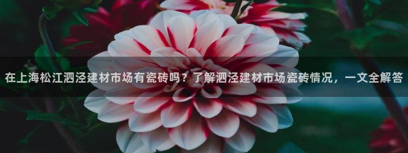 杏鑫平台招商电话号码查询
